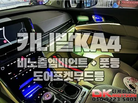 인천 부천 김포 카니발KA4 비노출엠비언트 퍼펙트\