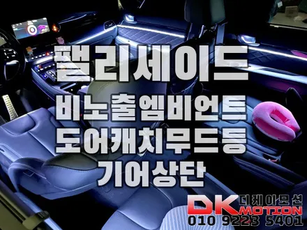 인천 부천 김포 팰리세이드 비노출엠비언트 완벽시공!! / 인천 계양, 김포, 강서, 부평