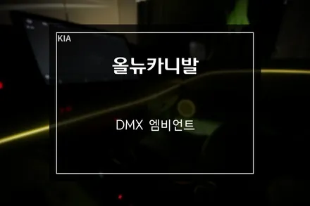 부산 카니발 맛집 올뉴카니발 DMX 회오리 스피커 엠비언트 작업 / 부산 사상구