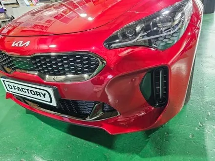 스팅어 프론트 펌퍼PPF / 부산 사상구