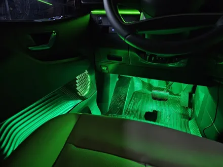 스타리아 부산 엠비언트라이트 + PPF 보호필름 시공 / 부산 사상구