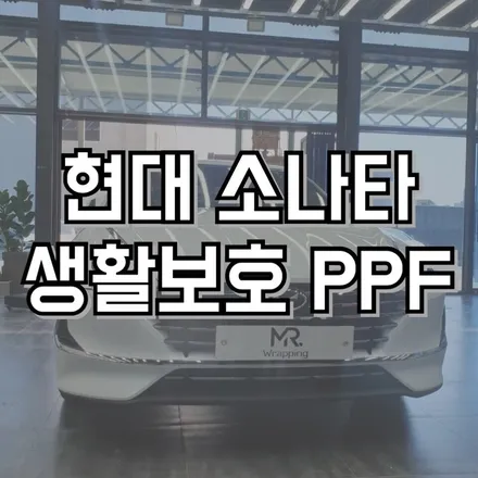 전주랩핑 전북랩핑 군산랩핑 대전랩핑 광주랩핑 전주미스터랩핑 차량랩핑 자동차랩핑 쏘나타 PPF / 전주, 광주, 김제