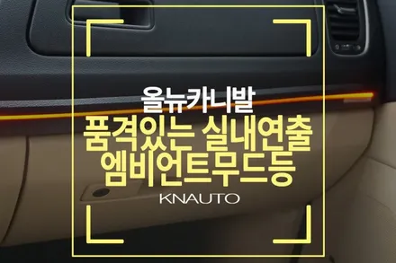 올뉴카니발엠비언트 + LED도어캐치 (엠비언트무드등 가격) / 부산 사상구 주례동