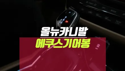 15년식 올뉴카니발 차량 에쿠스기어봉 설치 / 전자식기어봉 / 부산 사상구 주례동