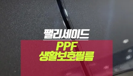 팰리세이드 PPF 자동차 도장 스크래치 생활보호필름지 PPF 시공 / 부산 사상구 주례동
