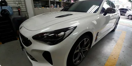 광주 루프스킨 기아 스팅어 루프스킨 & 필러 랩핑 & 라이트PPF / 광주 북구 중흥동