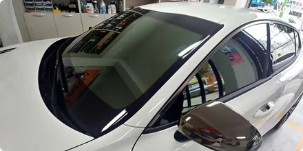 광주 루프스킨 기아 스팅어 루프스킨 & 필러 랩핑 & 라이트PPF / 광주 북구 중흥동