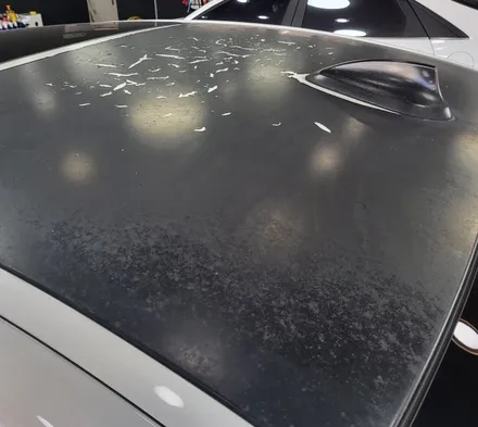 광주랩핑제거 BMW 520d 루프스킨 제거 / 광주 북구 중흥동