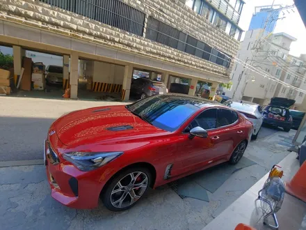스팅어 천장,손잡이,실내등 순정 블랙 파츠로 1:1 맞교환 작업기 파노라마 썬루프가 있어도 문제없이 교체완료 / 남양주시 다산동