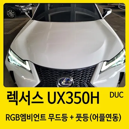 창원 엠비언트 렉서스 UX350H 시공점 드레스업카 / 경남 창원