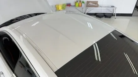 [청주 PPF] BMW m850i 루프스킨 + 카본 PPF + 스포일러 + 그릴 랩핑 / 청주 흥덕구