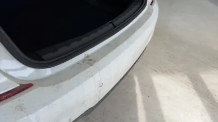 오창 PPF, BMW 320i 생활보호 PPF / 청주 흥덕구