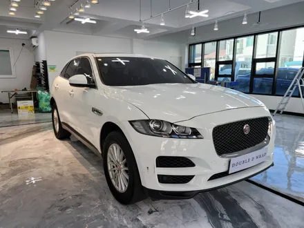 김해 랩핑 재규어 F-PACE 전체랩핑으로 신차처럼! / 김해, 부산, 창원
