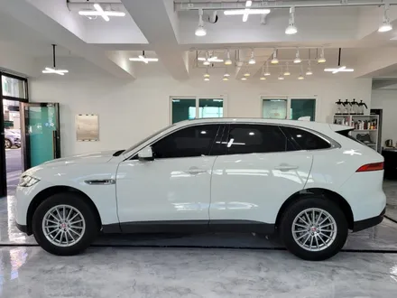 김해 랩핑 재규어 F-PACE 전체랩핑으로 신차처럼! / 김해, 부산, 창원