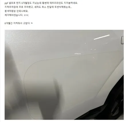 광주 생활보호 PPF 황변 없는 필름 고르는 꿀팁. / 광주 광산
