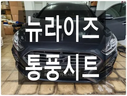 울산 뉴라이즈 순정 통풍시트 작업입니다. / 울산 북구 연암동