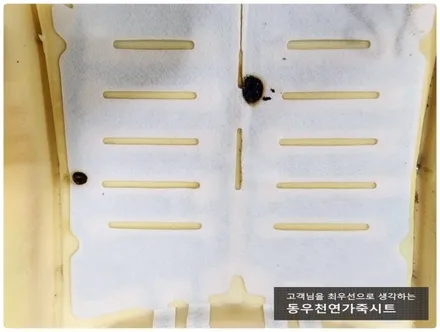 스파크 열선시트 단선 수리 + 가죽시트 복원(열선 고장으로 인한 시트 훼손 해결) / 울산 북구 연암동
