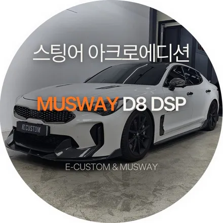 스팅어 아크로 에디션  dsp로 사운드 개선 / 경기 남양주