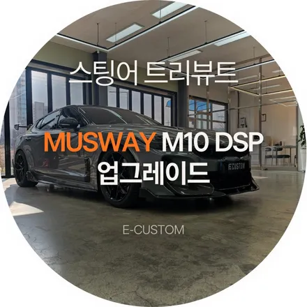 출력부터 채널 확장까지 스팅어 트리뷰트 무스웨이 M10 DSP 업그레이드 / 경기 남양주