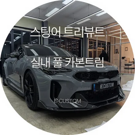 리얼카본의 깊이감! 스팅어 트리뷰트 에디션 실내 전체 카본트림 시공 / 경기 남양주