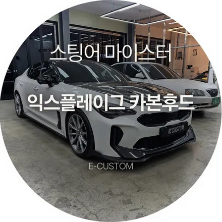 무거운 앞머리를 덜어내는 가장 확실한 방법! 스팅어 마이스터  익스플레이그 카본후드 인스톨 / 경기 남양주