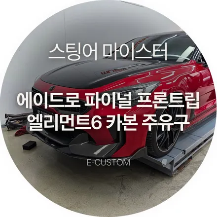 스팅어 마이스터 새로운 프론트 립으로 분위기 전환 / 경기 남양주