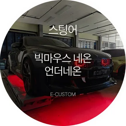기아 스팅어 전시용 빅마우스네온, 언더네온, 카본 에어가이드 교체 / 경기 남양주