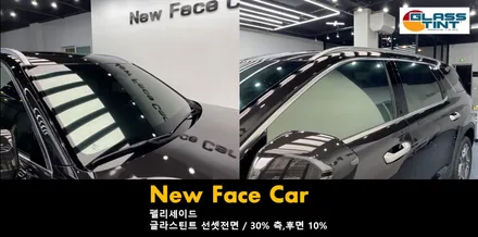 구로구 항동 / 부천 항동 신차 패키지 팰리세이드 글라스틴트 선셋 파인뷰 / 부천 소사구 옥길동