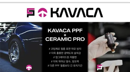 분당PPF 아우디A6 차량보호 대세 필름 / 하남, 광주, 송파