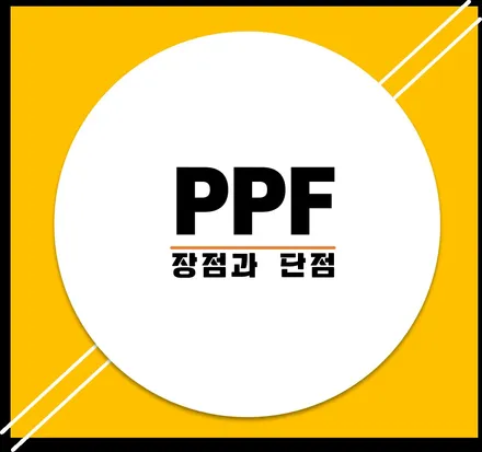 PPF장점 단점 그리고 효과와 시공부위 BMW / 하남, 광주, 송파