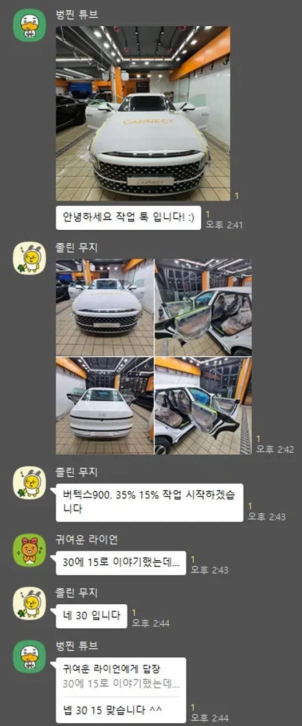 신차패키지 버텍스 900 틴팅 그랜저 차량 보호 솔루션 / 하남시 감북동