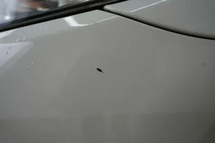 BMW 5시리즈 광택, 유리막코팅과 실내랩핑까지(송파 천호 하남) / 하남, 광주, 송파