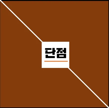 PPF장점 단점 그리고 효과와 시공부위 BMW / 하남, 광주, 송파
