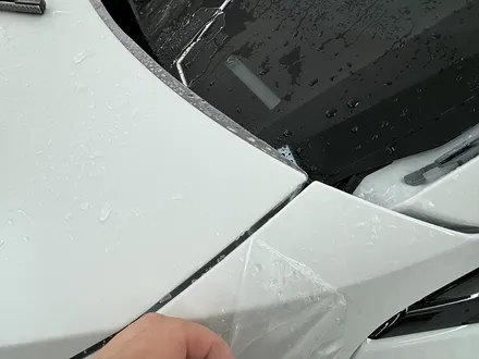 무광 PPF BMW M4 기준 드라마틱한 전후 차이와 합리적인 가격은? / 서울 송파