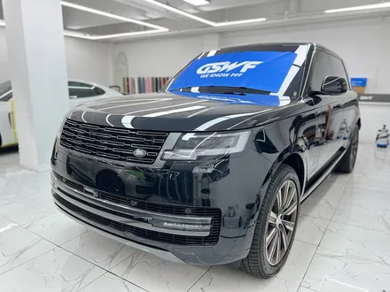 PPF 단점, 진짜 할 필요 있을까? / 서울 송파