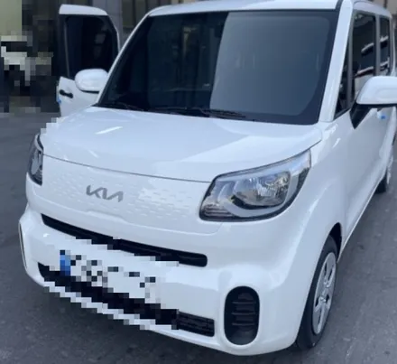 [엘커스텀] KIA 레이 사이드미러 락폴딩 / 부산 금정