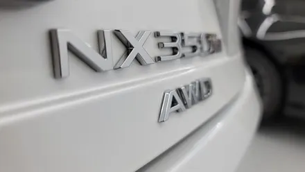 렉서스 NX350 다시 신차와 같은 느낌으로!! 광택 유리막코팅 / 부산 금정