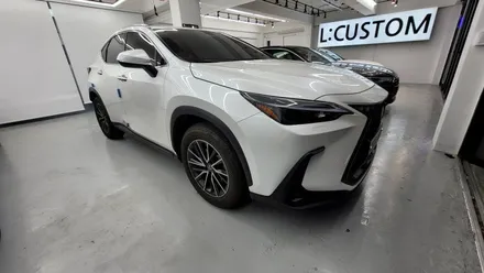렉서스 NX350 다시 신차와 같은 느낌으로!! 광택 유리막코팅 / 부산 금정