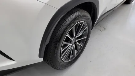 렉서스 NX350 다시 신차와 같은 느낌으로!! 광택 유리막코팅 / 부산 금정