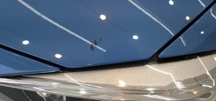 로드의 왕자 M3!! BMW M3 PPF 유리막코팅으로 완벽한 바디 보호 !! / 부산 금정