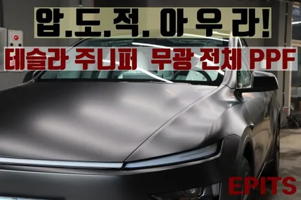 [포항 이동 테슬라 무광 전체 PPF ]프리미엄 드레스업! / 경남 포항