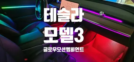 경남창원 테슬라 모델3 엠비언트 유일하게 순정연동 가능한 곳 / 창원 의창구