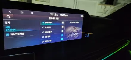 더뉴팰리세이드에 엠비언트를 시공 한다면, 가장 적합한 시공방식은?? / 창원 의창구