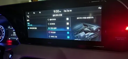창원 팰리세이드 엠비언트 글로우모션 이렇게나 고퀄리티라니!! / 창원 의창구