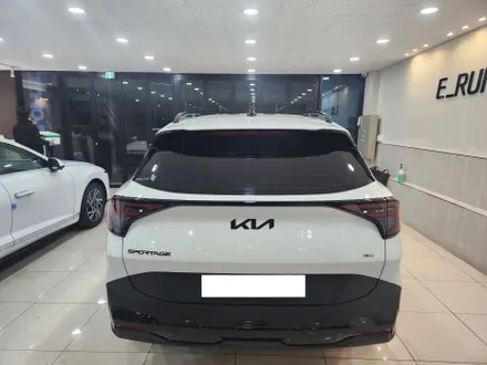창원 후퍼옵틱 프나세로 신차패키지 해보실래요? / 창원시 성산구