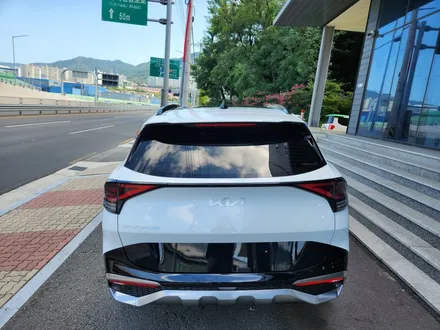 스포티지nq5 후퍼옵틱 드레이,프나세 신차패키지 소개할게요 / 창원시 성산구