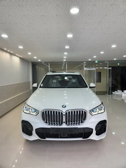BMW X5 후퍼옵틱 프리미엄 나노 세라믹(프나세) , 클래식 윈도우 틴팅 / 창원시 성산구