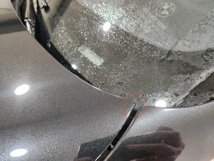 BMW X7 본네트 PPF 시공 (STEK C-CLEAR) / 창원시 성산구
