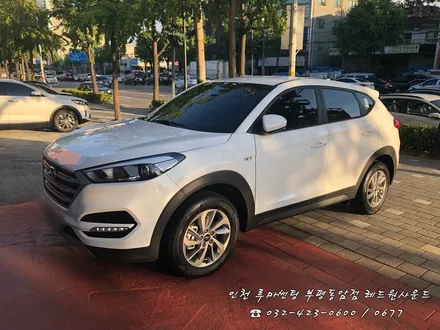 [ 투싼 ] 뜨거운 햇빛? 루마 아티젠으로 부담없이 차단!