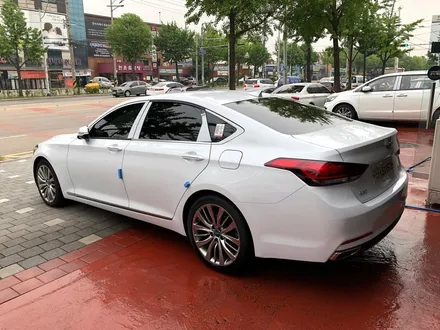 제네시스 G80과 어울리는 명품썬팅 루마 래티튜드!